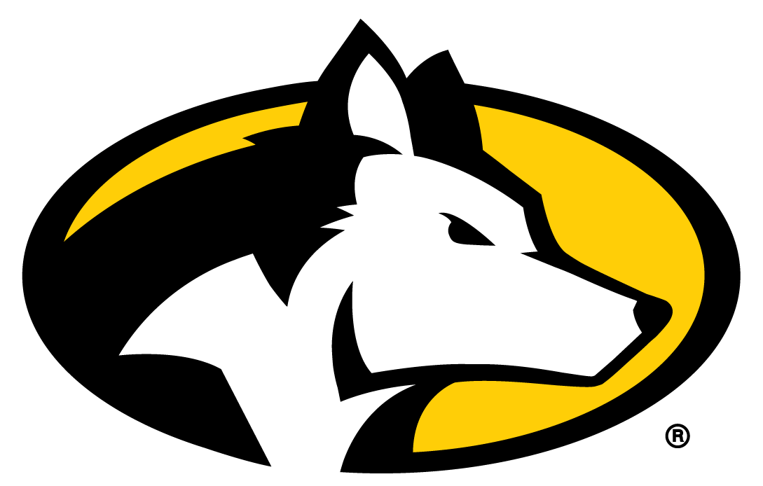 Michigan Tech Huskies 2016-Pres Partial Logo 01 iron on paper